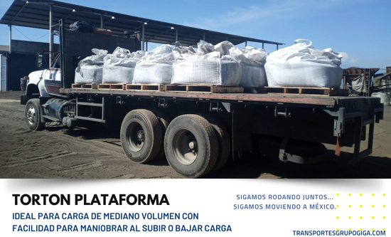 TRANSPORTE DE CARGA EN TORTON