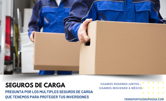 TRANSPORTE DE CARGA EN DE MERCANCÍAS